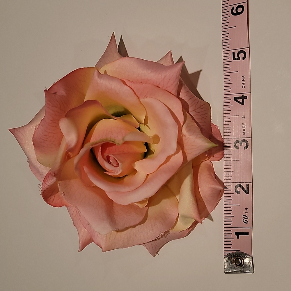Cara Rose 🌹 Pin - Picture 5 of 5